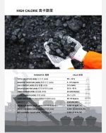 Steam Coal