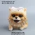 Import Personalized animal avatar style resin flower pot from China