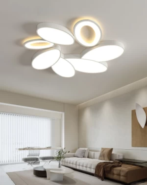 Living room ceiling light