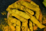 Premium Lakadong Turmeric for fine dining and specialty retail