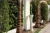 Import Vertical Garden (Outdoor Vertical Garden) from United Arab Emirates