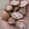 Dried Betel Nuts (Split)