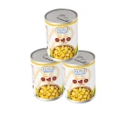 Aqua Premium Whole Kernel Sweet Corn أكوا بريميوم حبوب ذرة حلوة كاملة