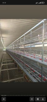 Poultry Farming Equipment