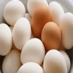 Organic Chicken Table Eggs Farm Fresh. Long Shelf Life Eggs.