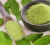 Import Health Supplement Organic Moringa Powder Moringa Leaf Extract Moringa Powder from China