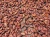 Import rich flavour Cocoa from USA