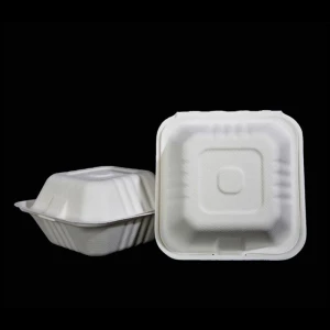 6" Burger Box White Biodegradable Bagasse Sugarcane Food Containers