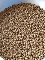 100% High Quality White Pepper