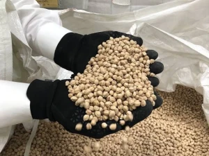 Kenya Chickpeas Wholesale – Trusted Exporter of Kabuli and Desi