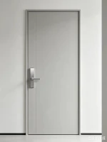 Modern minimalist smart security door