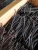 Import Vanilla Beans from Indonesia