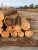 Import Sugi logs from Japan from Japan