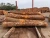 Import Sugi logs from Japan from Japan