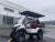 Import electric golf cart from China
