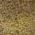 Import Organic Green Masoor Dal Green Lentils GMO-Free Dried Style Bulk Packaging from South Africa