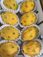 Yellow Dragon fruit