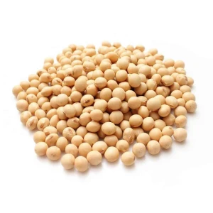 Soybeans / High Quality Non GMO Yellow Dry Soybean Seed / NON-GMO Soya Beans