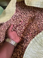 Sugar Beans