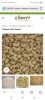 Cashew not
