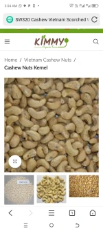 Cashew not