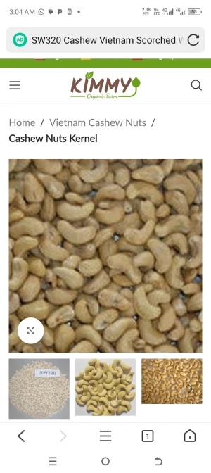 Cashew not
