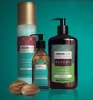 Daily Repair Hair Care Treatment for Damaged and Dry Hair