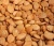 Import Top Quality Fresh Apricot,Dried and Apricot Kernels from South Africa