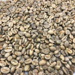 Premium Robusta Coffee Bean Freshly Roasted Coffee Bean Rich Aroma Perfect For Wholesale Bulk Orders
