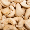 Wholesale Big-Size Cashew Nuts All Grades - Roasted with Silk Skin, W180, W240, W320, W450, 100% Natural Premium Quality