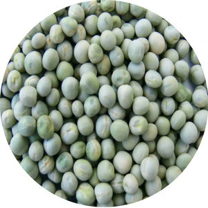 100% Fine natural Green Peas for sale cheap