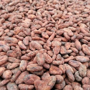100% High Quality Cocoa Beans For Sale