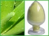 100% Pure natural plant extract aloe vera extract/aloe vera gel powder for skin and health care