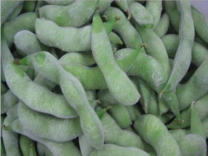 2015 low price high quality Fresh frozen Edamame wholesale from China