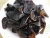 Import 2018 Chinese natural wholesale good price dried black fungus from China