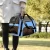 2019 Soft Pet Carrier for Small Dogs,Cats, Puppies, Kittens Up to 8 Pound, Airline Approved Pet Carrier for Travel with Family