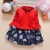 Import 2020 baby clothing dress Autumn Winter baby dress beautiful baby girl fairy skirt from China