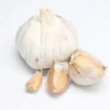 2020 China/Chinese Bulk Raw Best Fresh Natural Garlic Price - New crop, Hot sales