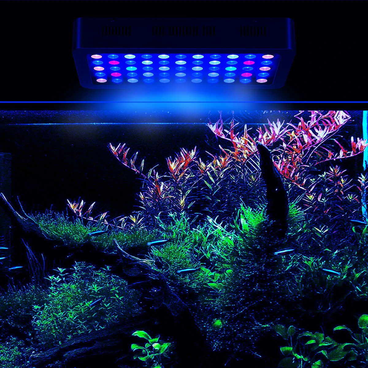 2020 Shenzhen supplier 165W new intelligent control 24 inch 48inch led aquarium light led aquarium plant lighting for coral reef