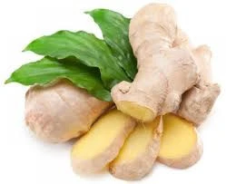 2020 Wholesale organic fresh ginger for export