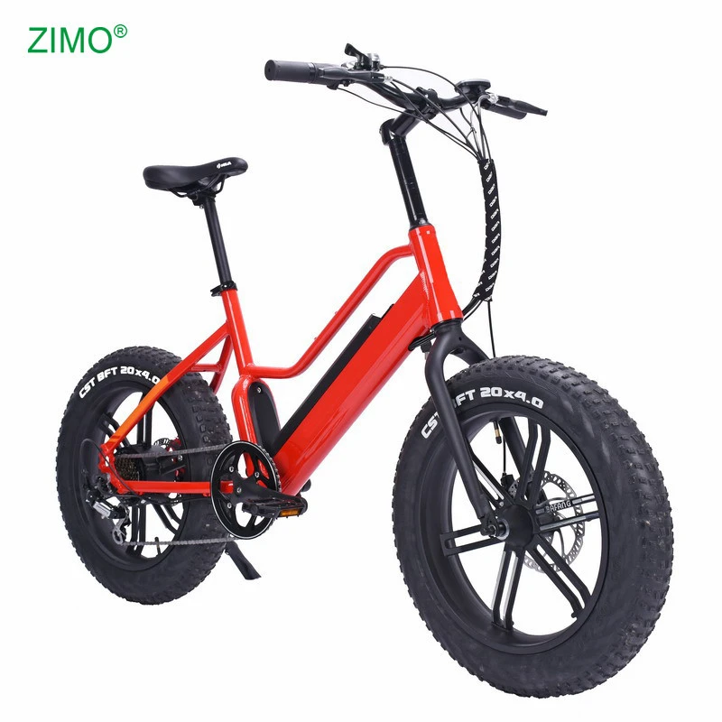 2021 New 48v 500w Lithium Battery Sport Pedal Assist Fat Tire Electric Bike, Cheap Fat Tire Electric Bicycle for Sale