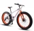 Import 24 speed New 4.0 fat tire bike double disc brake beach bicycle snow bike 24 and 26 inch mountain bike bicycle from China