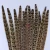 Import 25-30cm Artificial Feathers Carnival Costumes Feather Home Decors Reeves Pheasant Tail Feathers Natural for Crafts Decoration from China