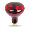250 Watt Indoor Dimmable Red Br40 Incandescent Heat Lamp Light Bulb