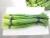 Import 250g Bundle Fresh Garlic Stem Vegetables from China