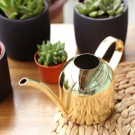 500ML Stainless Steel Long Nozzle Watering Can Greening Plants Golden Watering Can Small Watering Gardening Tool