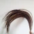 Import 50pcs/Lot 50-55inches reeves pheasant feather from China
