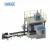 5kg to 25kg Packages Grain Seed Open Mouth Pillow type Weighing Bagging Packing Machine
