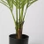 Import 70cm Small Green Areca Palm Tree Artificial Tropical Palm Applicable To Office Artificial Plants from China