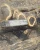 Import 80cm diameter  quality Black Ebony wood logs from United Kingdom